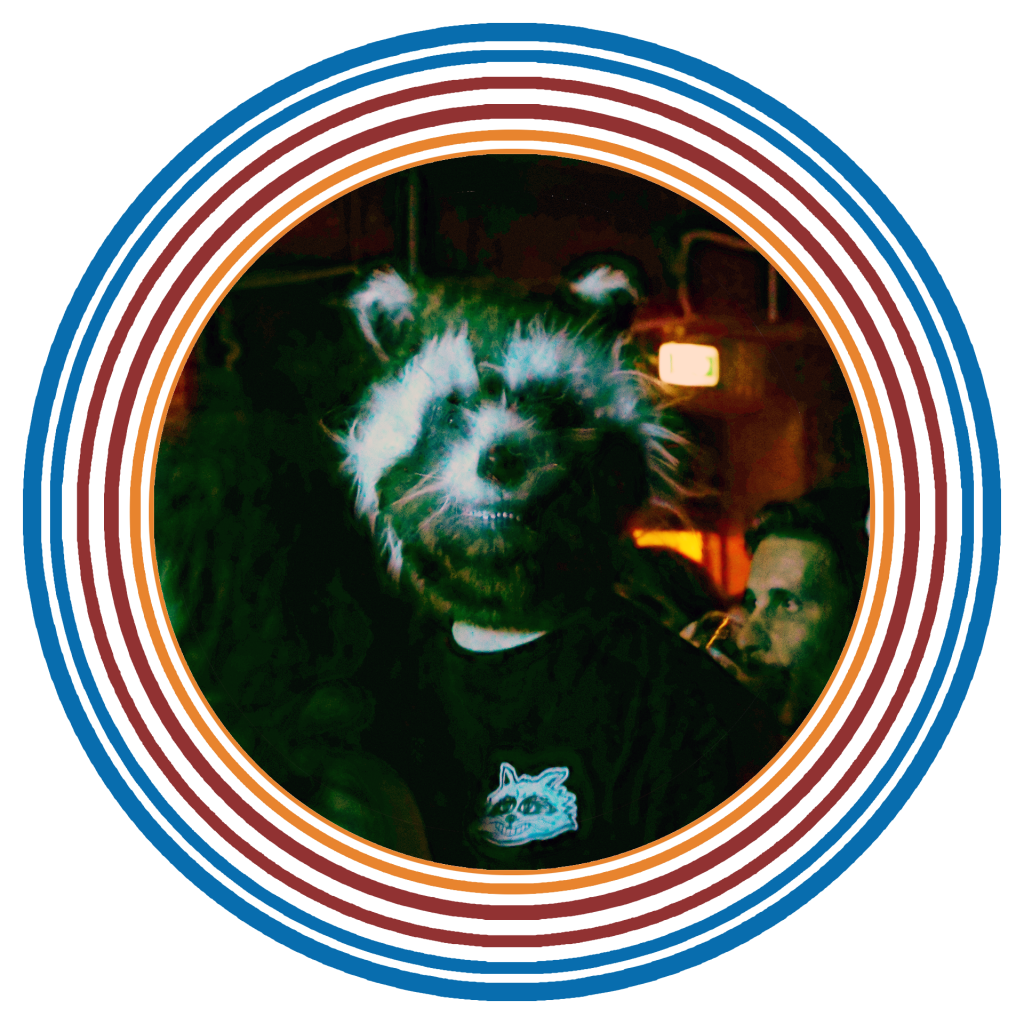 template persone raccoon