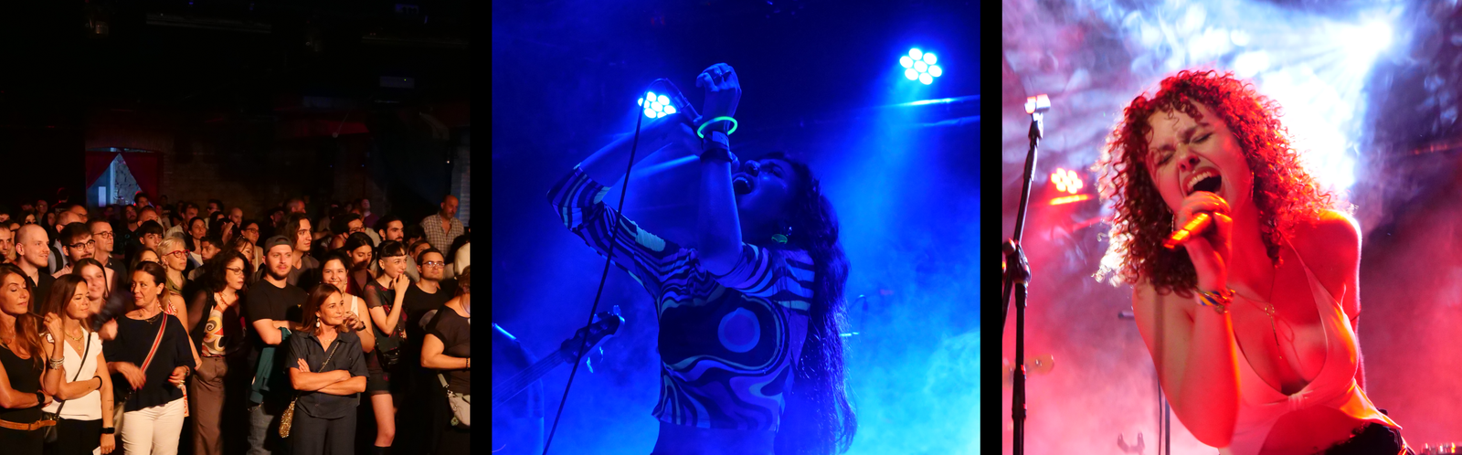 APERTE ISCRIZIONI IIª EDIZIONE DEL RACCOON MUSIC AWARD IMMAGINE FINALISSIMA DELL'ANNO SCORSO AL MONK